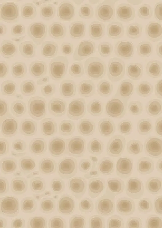 6320 Осьминог песочный - текстура